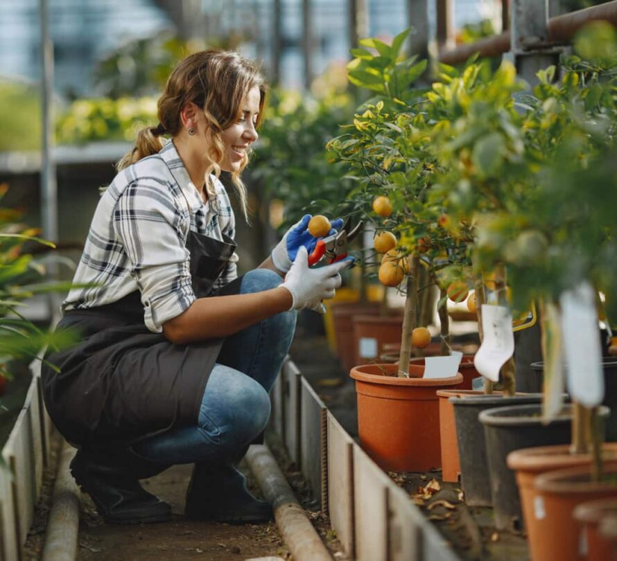 Agriculture Farming service